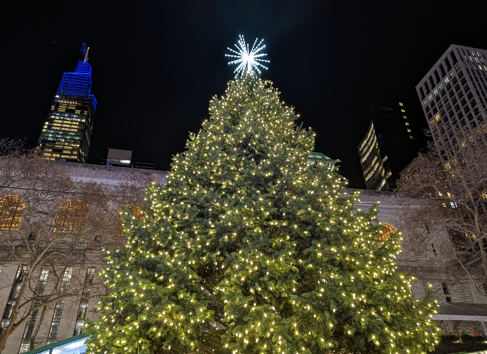 Bryant Park Christmas Tree in NYC