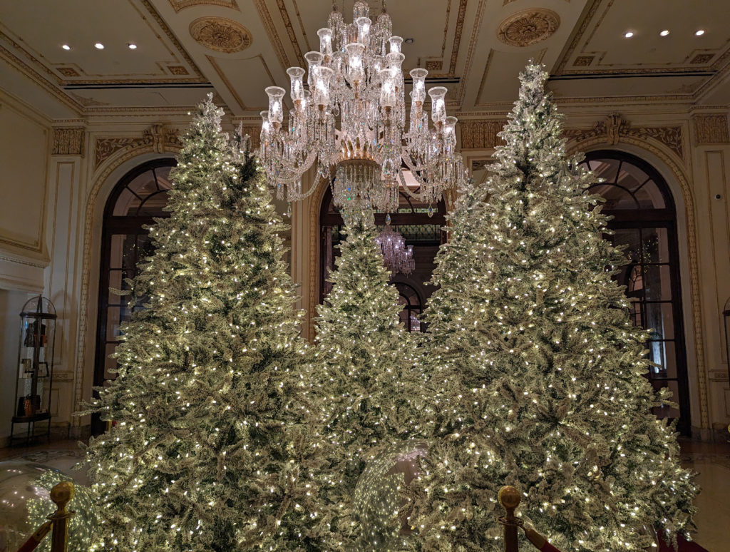 5 The Most Beautiful NYC Christmas Trees