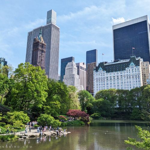 The View of Central Park