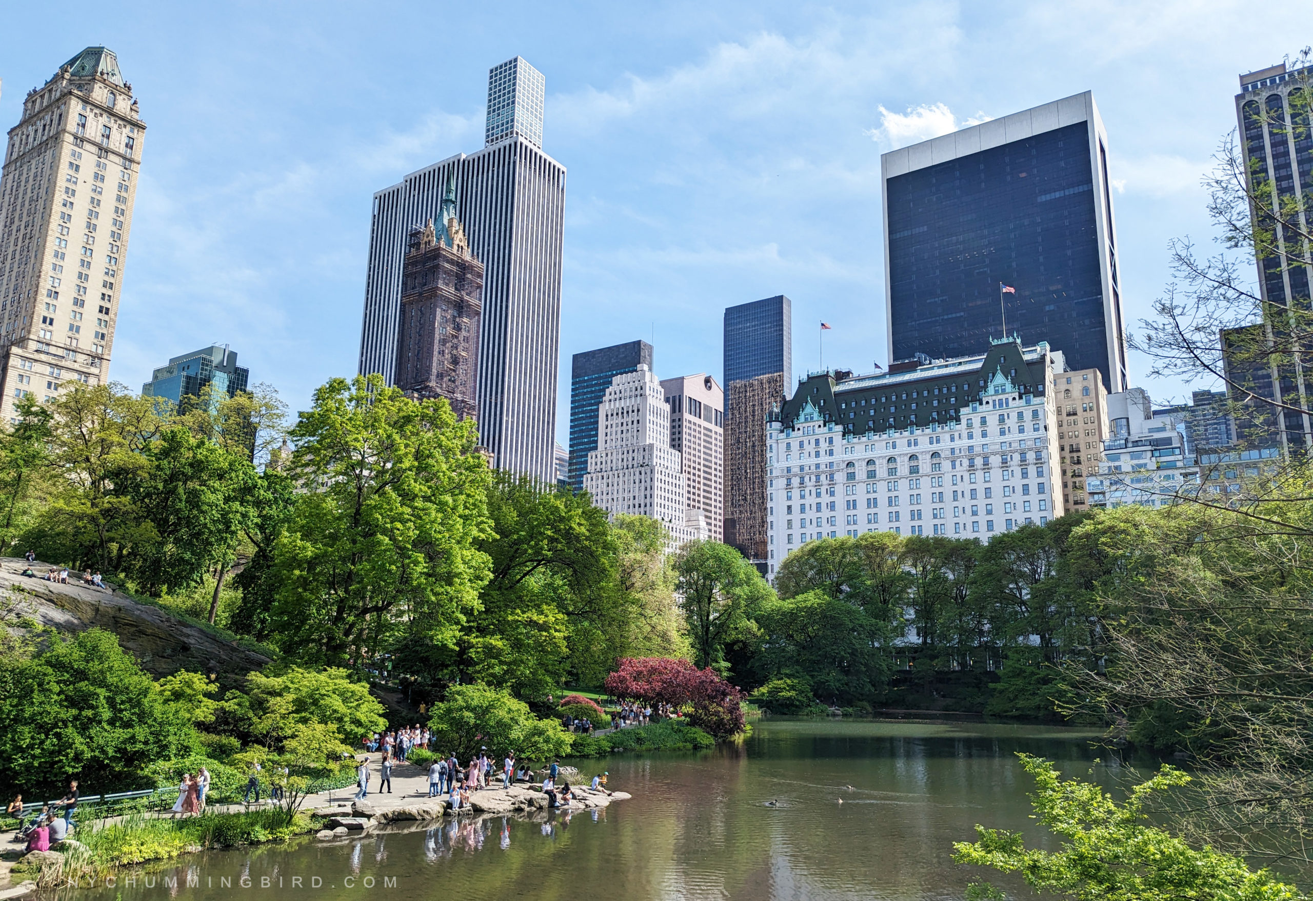 The View of Central Park