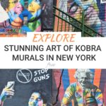 Stunning Kobra Murals in New York