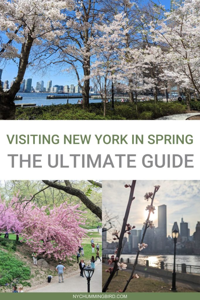 Spring in New York: The Ultimate Guide