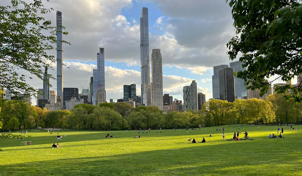 Sheep Meadow, Central Park