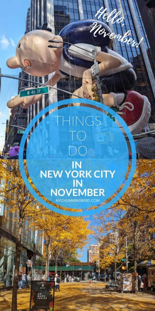 Things to Do in New York in November